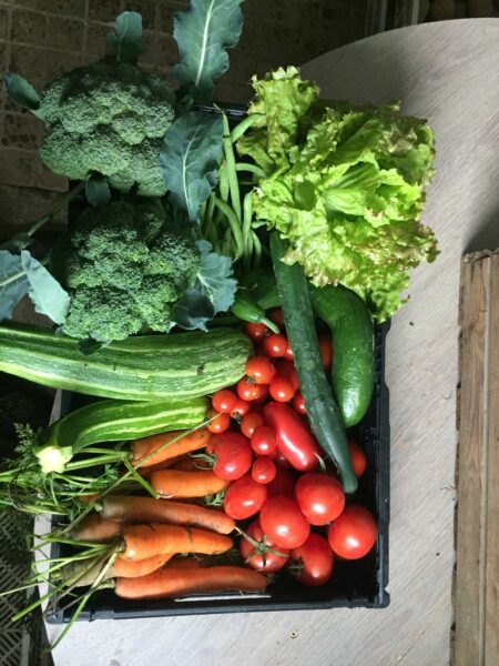 Gemuesekiste Bestellen Naturhof Reichshof Lebendige Beete Eiershagen